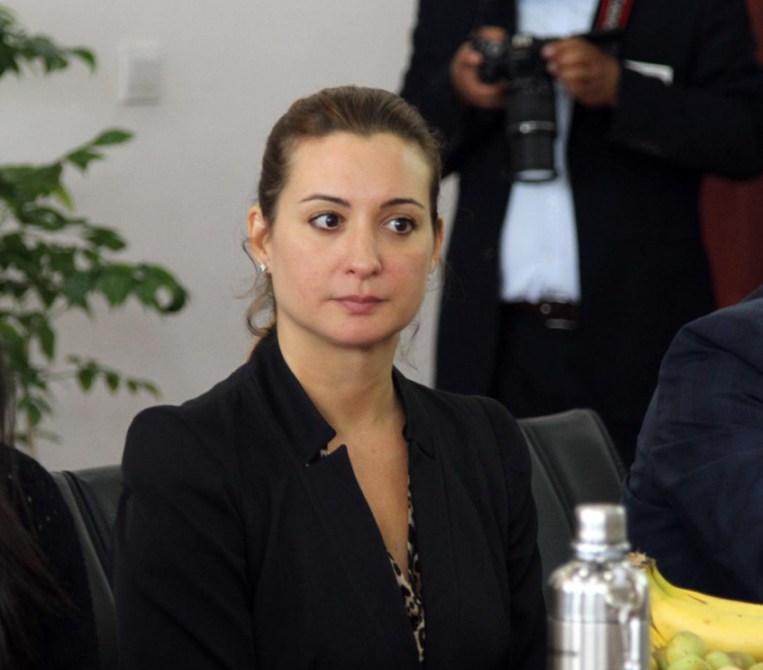 即将担任中殡协国际事务首席秘书的西班牙从业者苏珊娜出席会议 即将担任中殡协国际事务首席秘书的西班牙从业者苏珊娜出席会议