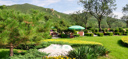 选墓地的风水入门知识