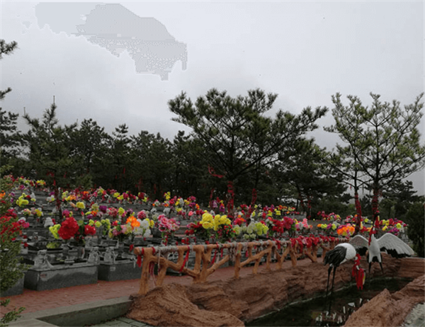 1578644223106877.png 11.png