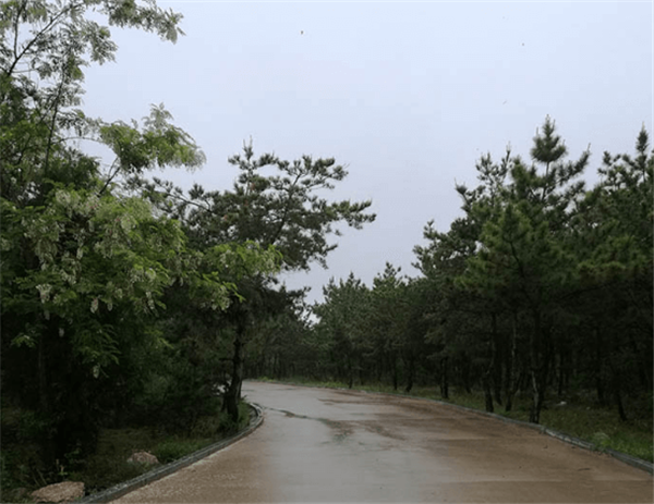 1578644232635871.png 22.png