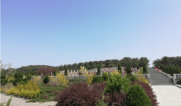 1579081977911575.png 55.png