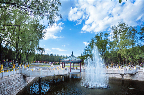 1579161176866294.png 1-1Z409164114.png