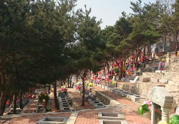 1581768085980187.jpg 111.jpg