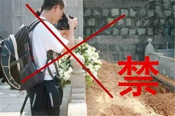 1584083523558503.jpg 3.jpg