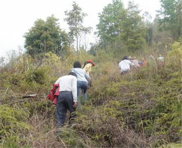 1584083531167508.jpg 2.jpg