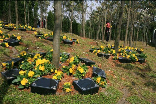 1585215097264025.jpg 40_副本.jpg