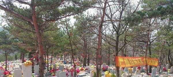 1588397772205461.jpg 555.jpg