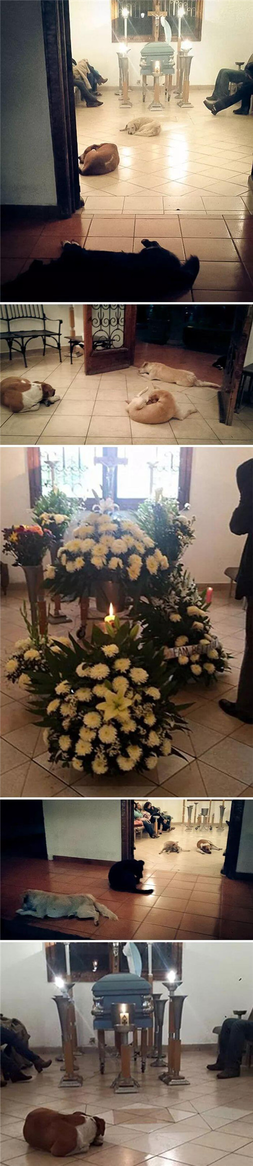 1588922263708972.jpg 5.jpg