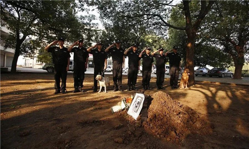 1588922327616559.jpg 15.jpg