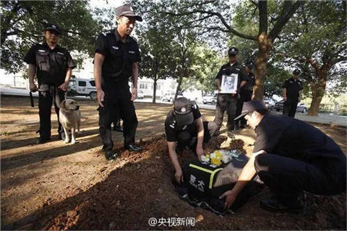 1588922355995062.jpg 17.jpg