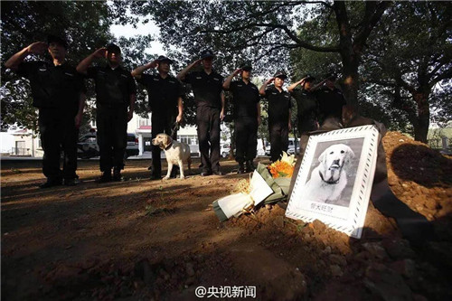 1588922365964803.jpg 18.jpg