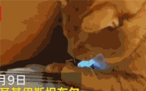 1588922576754337.png 38.png