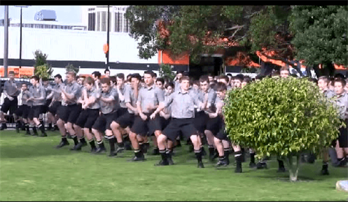 1588922588808063.png 39.png