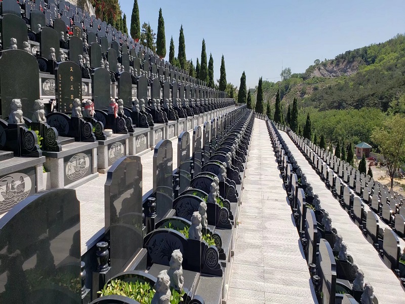 1607417621405044.jpg j (6).jpg