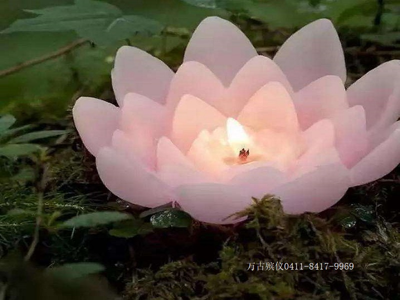 1608282560237806.jpg 请问.jpg