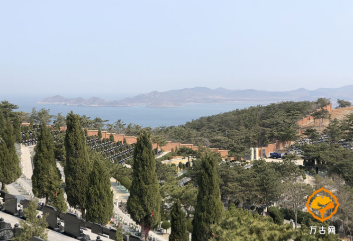 1615278158220772.png 0000.png