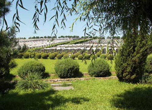 1617005625938723.jpg 00.jpg