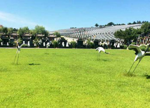 1617005631755828.jpg 0.jpg