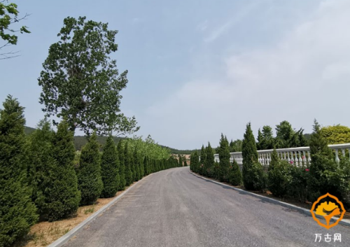 1617006120896425.png 01.png