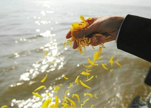 1617180909113834.jpg 00000.jpg