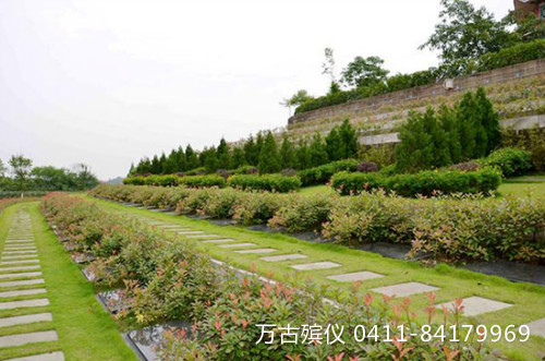 1621931593299520.jpg 11.jpg