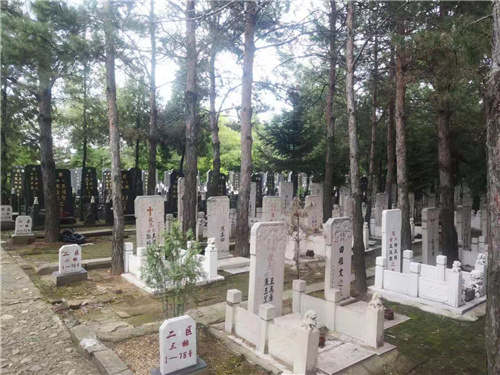 1623140992506657.jpg 5.jpg