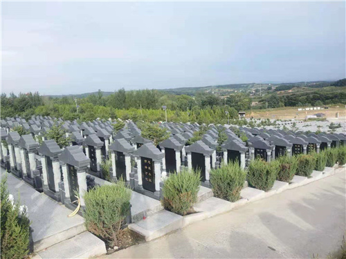 1623140999390311.jpg 4.jpg