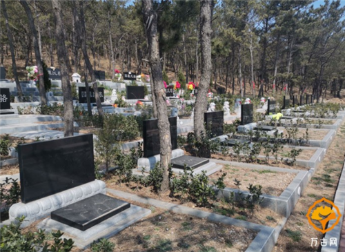 1625214393396994.png 22.png