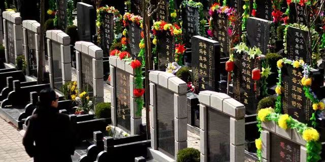 1630231585229786.png image.png