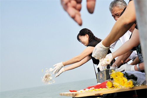 1631510944372196.jpg 22.jpg