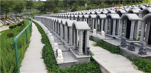 1632301698774533.jpg 3.jpg