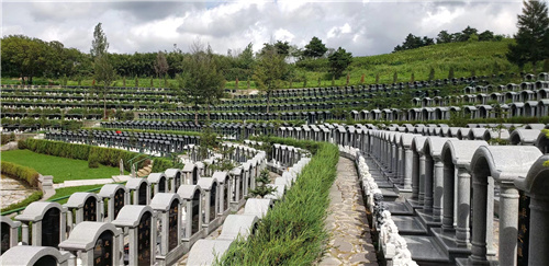 1632301703114667.jpg 5.jpg